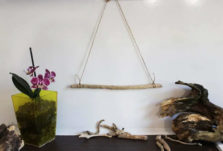 driftwood wall art