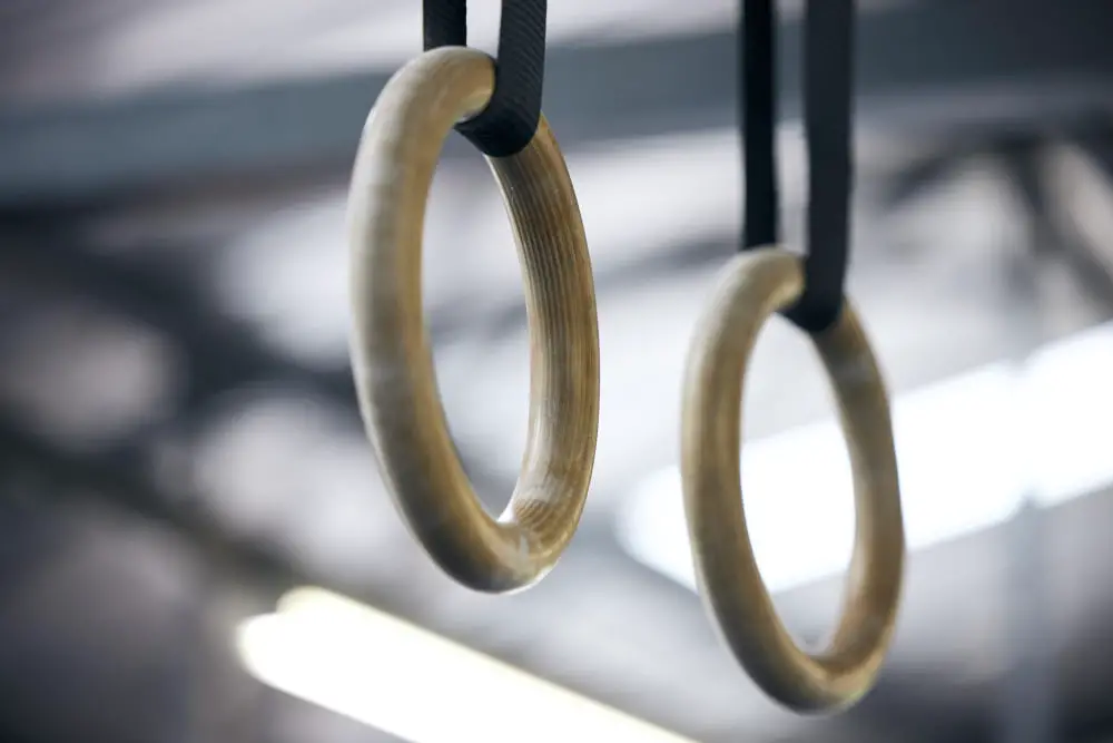 home garage Gymnastic Rings